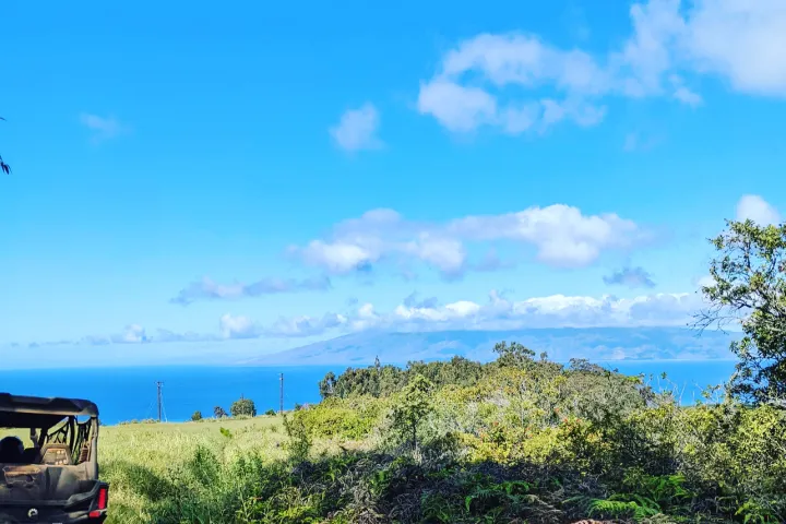 a bus driving down a dirt road